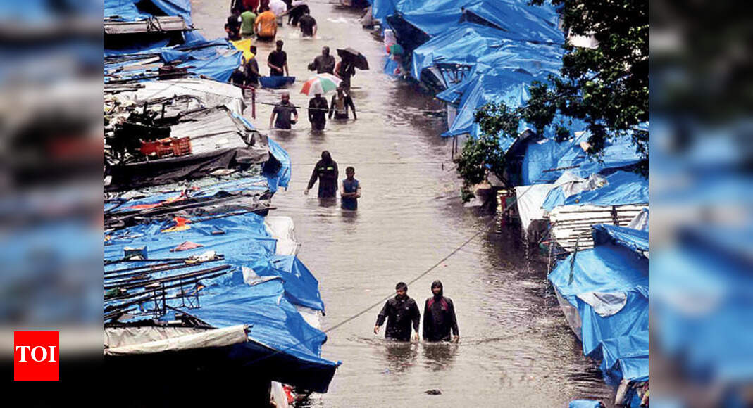 Climate change, drop in green cover upping Mumbai’s flood risk Mumbai