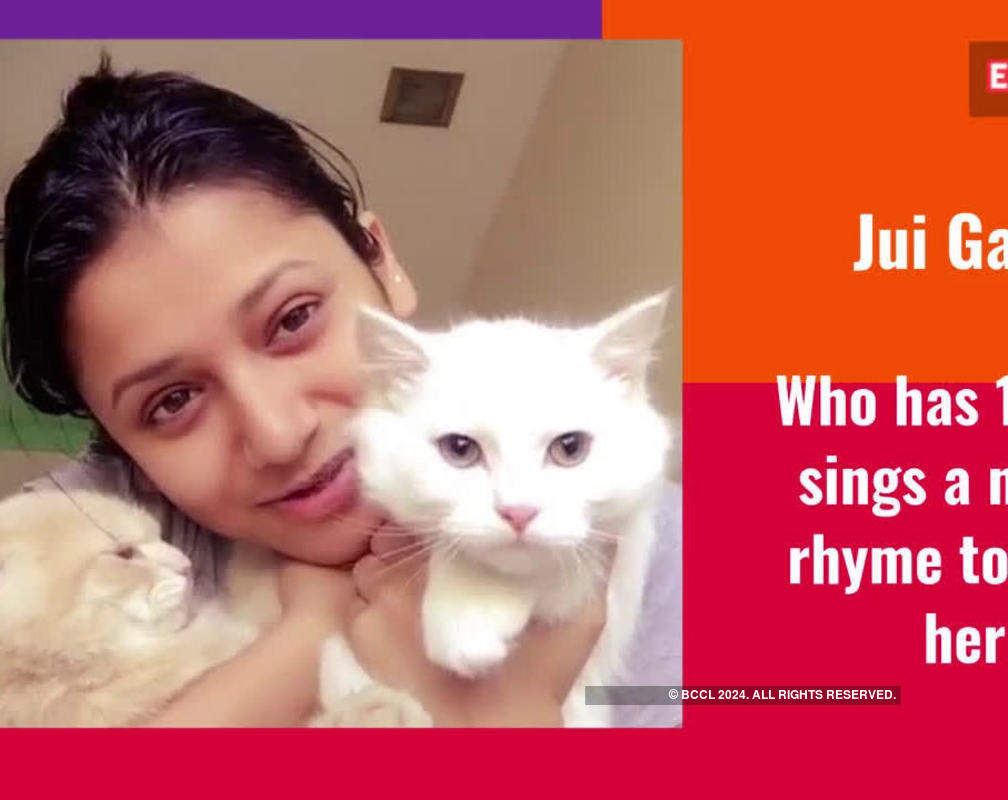 
#CutenessAlert! On International Cat Day, let us introduce you to your favorite Marathi celebs' feline babies
