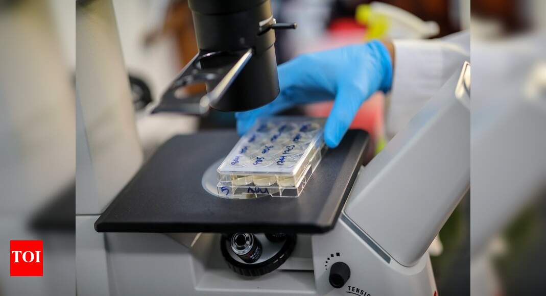 Scientists identify cellular structure that may play critical role in ...