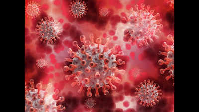 24 hours: 1,101 coronavirus cases, 23 deaths in Gujarat