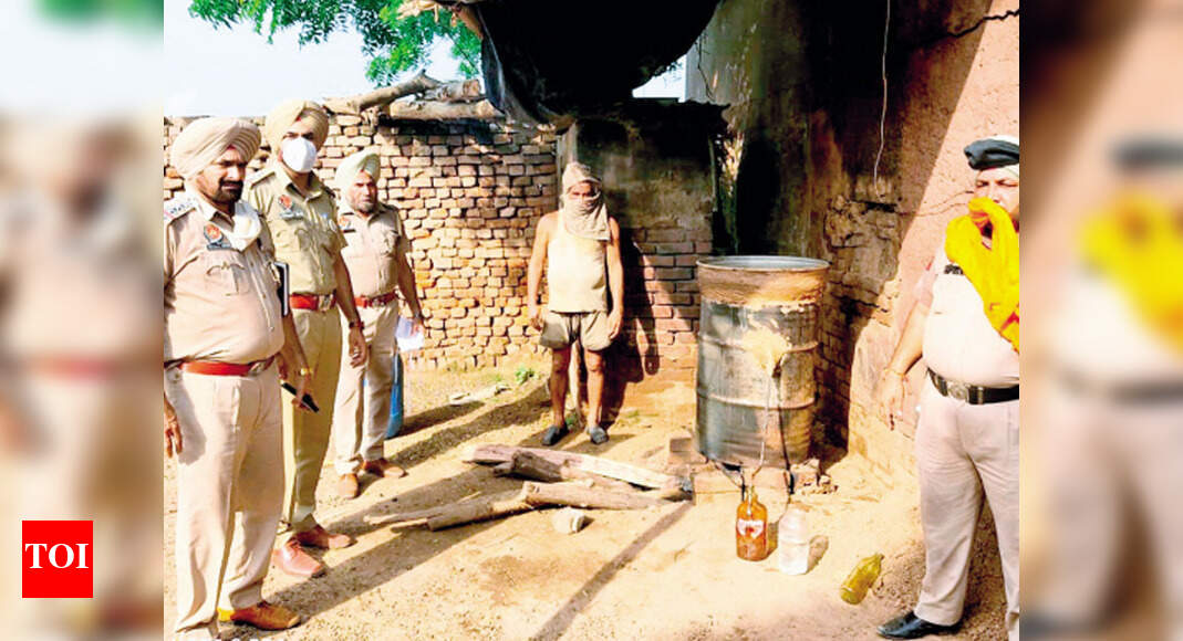 Illicit liquor Punjab police nab 100 accused in 146 cases Chandigarh