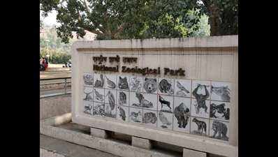 Delhi zoo undertakes enrichment campaign