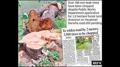Felling nod for Ytl-Darwha road widening violates norms