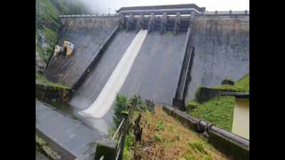 Shutters of Pamba dam in Kerala shut | Kochi News - Times of India