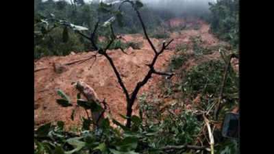 Karnataka: Rainfall continues in coast; major landslide inside Kudremukh National Park