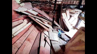 Palghar: Two sisters die under stack of plywood tipped over by dog