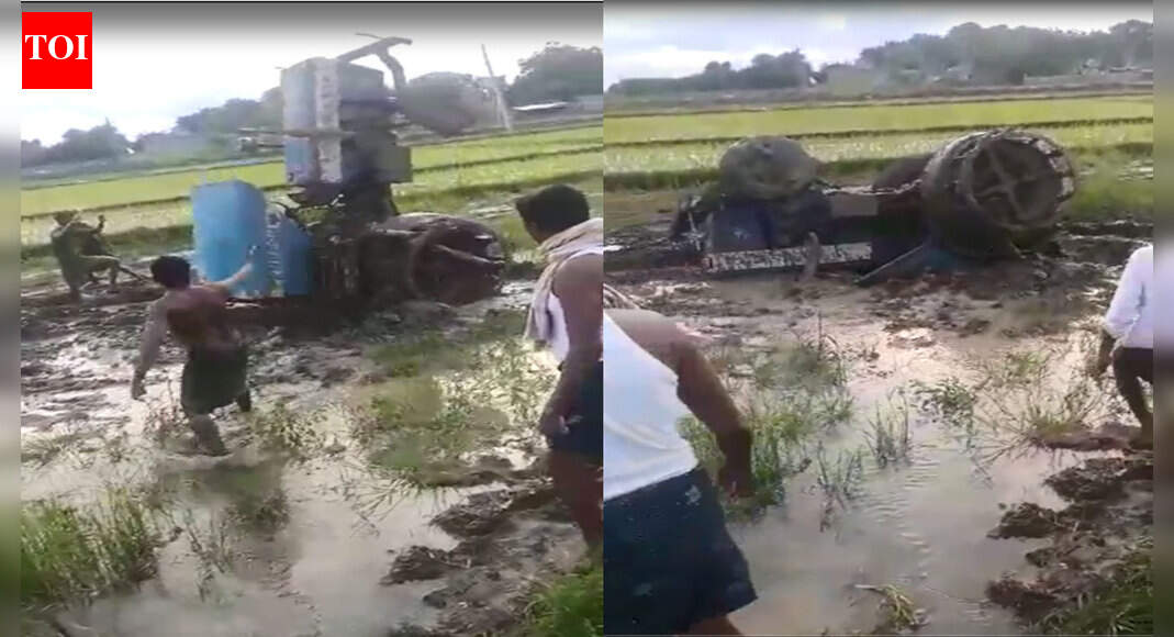 timesofindia.indiatimes.com