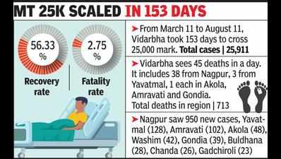 With whopping 1,412 cases and 45 deaths, Vid Covid tally crosses 25k mark