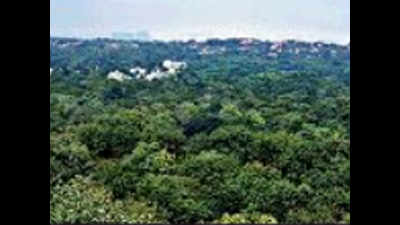 Telangana govt seeks forest land to set up skill centres
