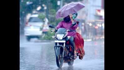 Parts of Rajasthan get rain, more likely on Thursday