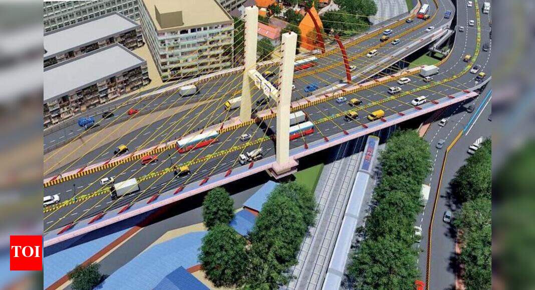 Underpasses, flyovers at Ravi Nagar, Medical and RBI ...