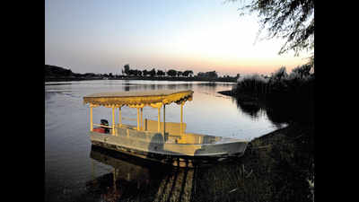 Post-COVID, Gurgaon aims to revive tourism at Damdama Lake