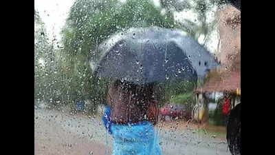 Goa: Heavy rain, wind to last till Sunday