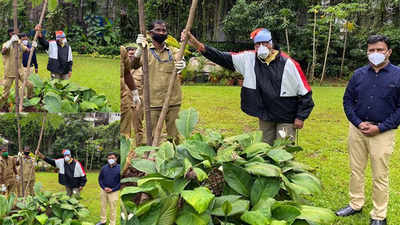 COVID-19 survivor Amitabh Bachchan shares picturesque view of his garden as he plants Gulmohar sapling on mother Teji Bachchan's birth anniversary