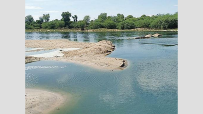 Rajasthan: Effluents from textile units pose threat to Luni River