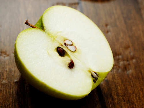 apple core with seeds