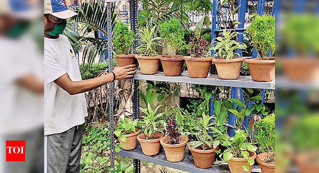 Plant bank to nurture Kolkata’s green thumb Kolkata News Times of India