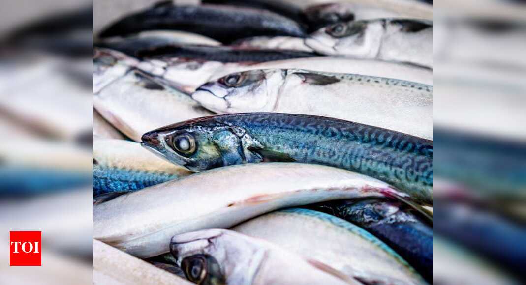 Goans can now order fish online, and get it delivered to their doorstep