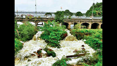 Districts face flood fury as rains batter Telangana, Met predicts more