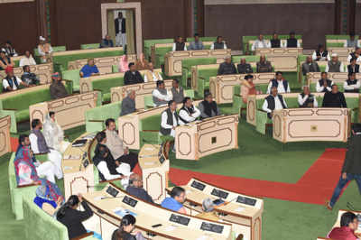 New normal: LS, RS to meet on alternate days for next session