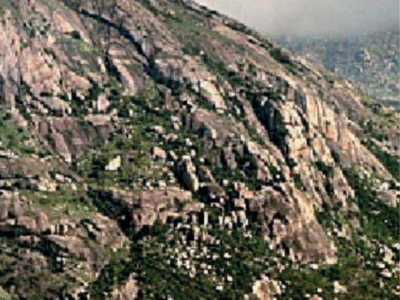 Karnataka: Value of five forest areas, Nandi Hills is Rs 39,000 crore
