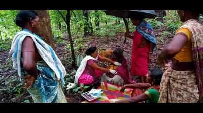 Ambulance stuck in flood, woman delivers under tree in Gadchiroli forest