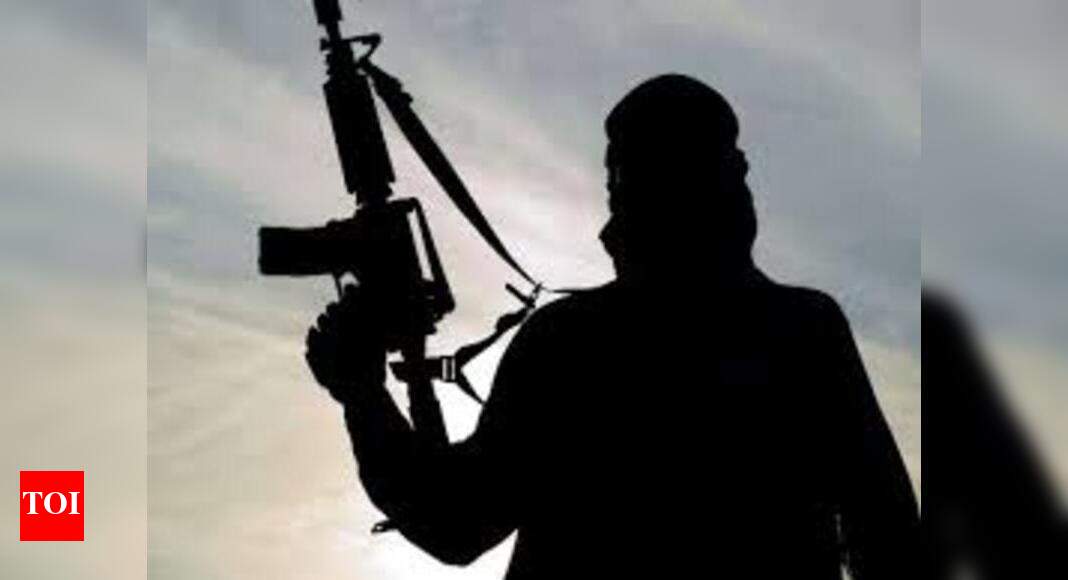 NIA arrests Islamic State operative from Bengaluru - Times of India