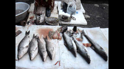 Kerala government bans wayside sale of fish