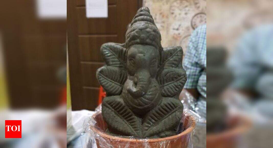 Andhra Pradesh: Guntur NGO promotes eco-friendly Ganesh Chaturthi - Times of India