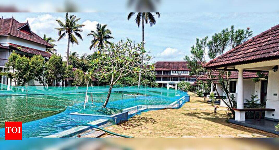A resort converts swimming pool into fish farm Kochi News Times of