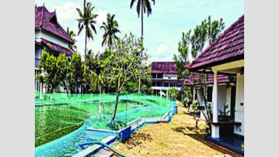 Kerala: Kumarakom resort turns its pool into fish farm