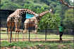 India's moods and moments captured by TOI's lensmen