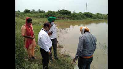 Dengue's worst enemy planted in Mohali water bodies