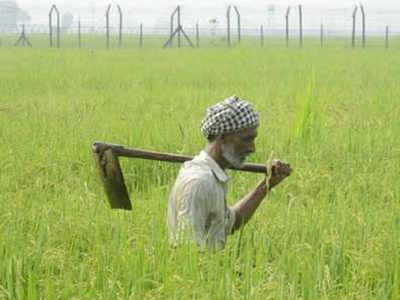 Kharif sowing rises 9 per cent to 1,062.93 lakh hectares so far