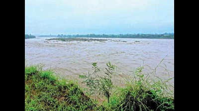 Five swept away by currents in Gujarat's Dahod river