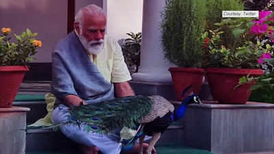 PM Narendra Modi posts video of him feeding peacocks