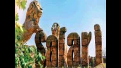 Get, set & roar: Tryst with lions on cards at Etawah Safari by September