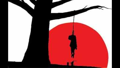 Bodies of two boys found hanging from tree in Etawah