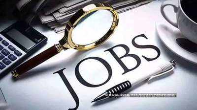 Rozgar Bazaar: 11 lakh find jobs on Delhi govt portal