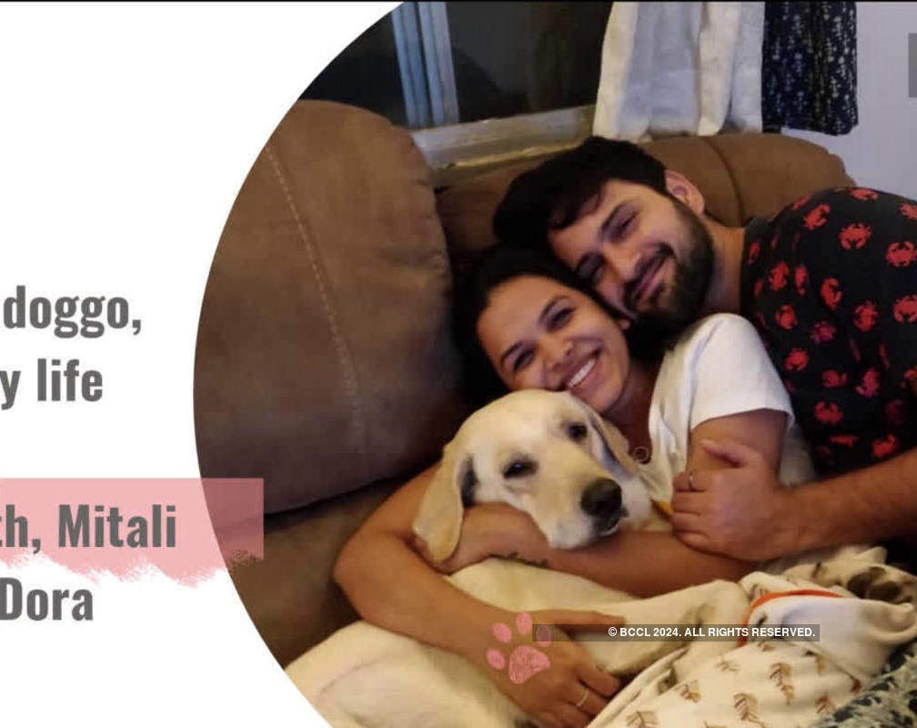 
On International Dog Day, check out these Marathi celebs’ furry babies
