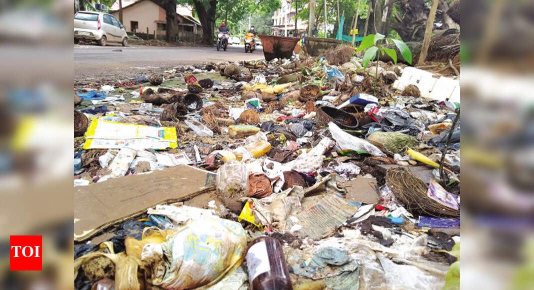 Bids for Bainguinim waste plant in 10 days Goa CM Goa News Times