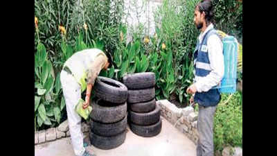 Hyderabad: Cases of vector-borne diseases fall as sanitisation drills increase