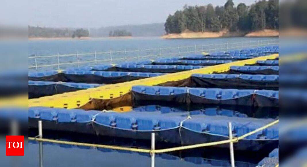 Chirayinkeezhu to be lab for a green economy experiment