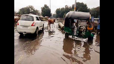 Heavy rain in Gujarat; over 2,000 from Narmada river bank shifted