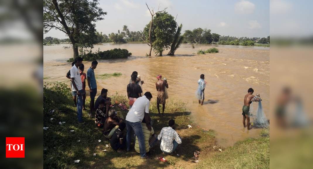 Odisha floods 17 dead so far, over 10,000 houses damaged Bhubaneswar