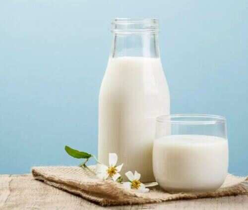The Myths And Magic Of Milk Food52 S Burnt Toast Podcast