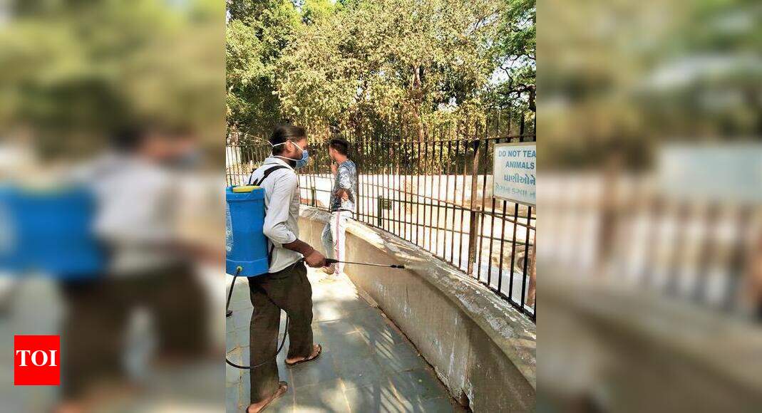 Vadodara Covid19 tally cross 8kmark Vadodara News Times of India