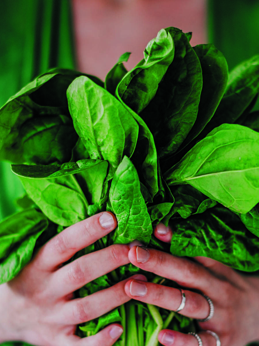 Best ways to include spinach in your diet | Times of India
