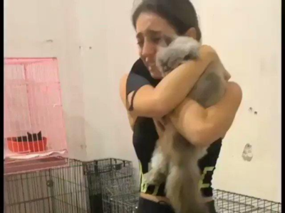 Woman reunited with pet: Deadly Beirut blasts separated them but they meet again