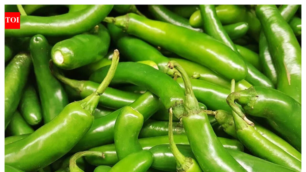 Types of Chillies: 8 varieties of Indian chillies no spice lover should ...
